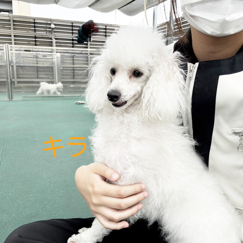 生徒が撮影してくれた写真①